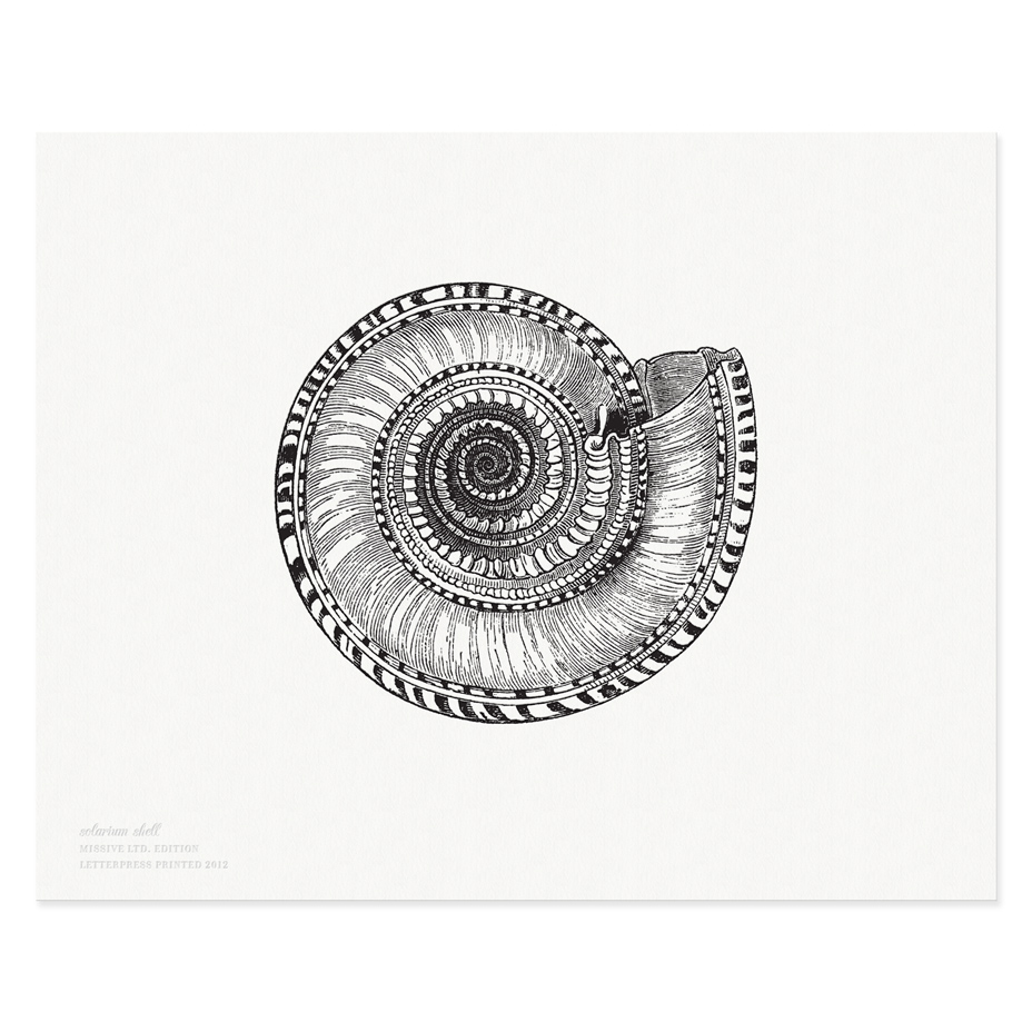 Made in USA - Solarium Shell Print | Letterpress cards, paper goods and stationery with style