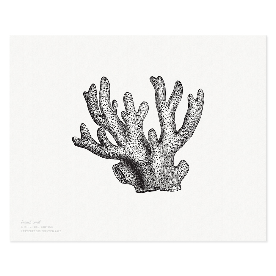 Branch Coral Print, Letterpress greeting cards, paper goods and stationery  with style