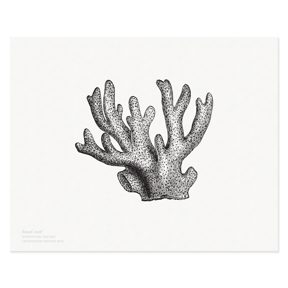 Branch Coral Print  Letterpress greeting cards, paper goods and